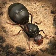 The Ants: Underground Kingdom MOD APK v3.34.0 (Unlimited Money)